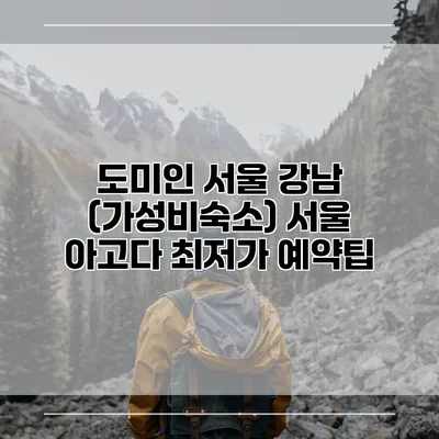 도미인 서울 강남 (가성비숙소) 서울 아고다 최저가 예약팁
