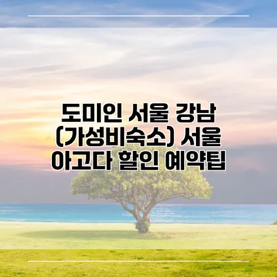 도미인 서울 강남 (가성비숙소) 서울 아고다 할인 예약팁