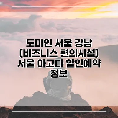 도미인 서울 강남 (비즈니스 편의시설) 서울 아고다 할인예약 정보