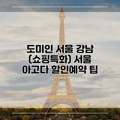도미인 서울 강남 (쇼핑특화) 서울 아고다 할인예약 팁
