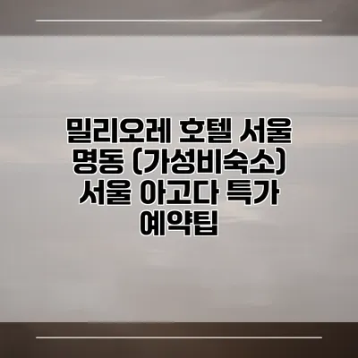 밀리오레 호텔 서울 명동 (가성비숙소) 서울 아고다 특가 예약팁