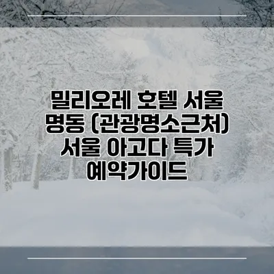 밀리오레 호텔 서울 명동 (관광명소근처) 서울 아고다 특가 예약가이드