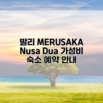 발리 MERUSAKA Nusa Dua 가성비 숙소 예약 안내
