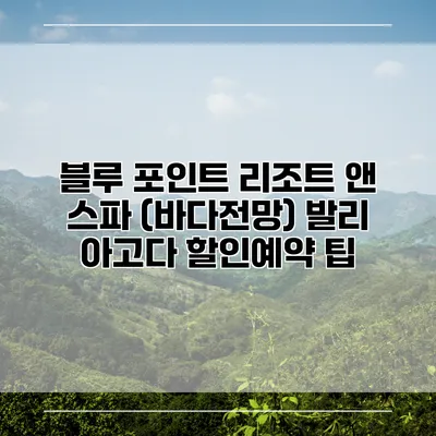 블루 포인트 리조트 앤 스파 (바다전망) 발리 아고다 할인예약 팁