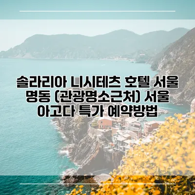 솔라리아 니시테츠 호텔 서울 명동 (관광명소근처) 서울 아고다 특가 예약방법