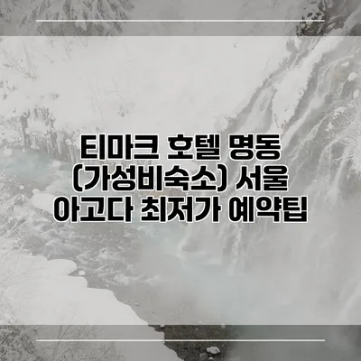 티마크 호텔 명동 (가성비숙소) 서울 아고다 최저가 예약팁