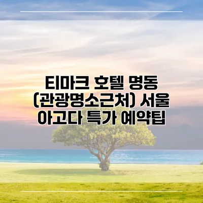 티마크 호텔 명동 (관광명소근처) 서울 아고다 특가 예약팁