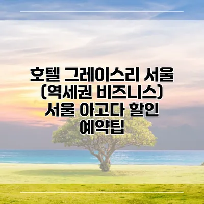 호텔 그레이스리 서울 (역세권 비즈니스) 서울 아고다 할인 예약팁