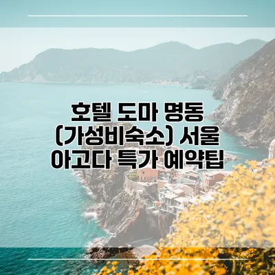 호텔 도마 명동 (가성비숙소) 서울 아고다 특가 예약팁
