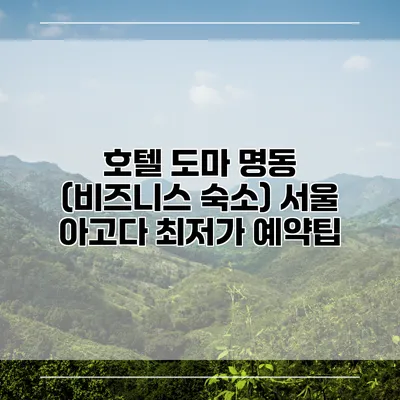 호텔 도마 명동 (비즈니스 숙소) 서울 아고다 최저가 예약팁