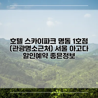 호텔 스카이파크 명동 1호점 (관광명소근처) 서울 아고다 할인예약 좋은정보