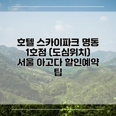 호텔 스카이파크 명동 1호점 (도심위치) 서울 아고다 할인예약 팁