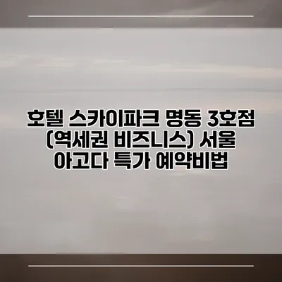 호텔 스카이파크 명동 3호점 (역세권 비즈니스) 서울 아고다 특가 예약비법