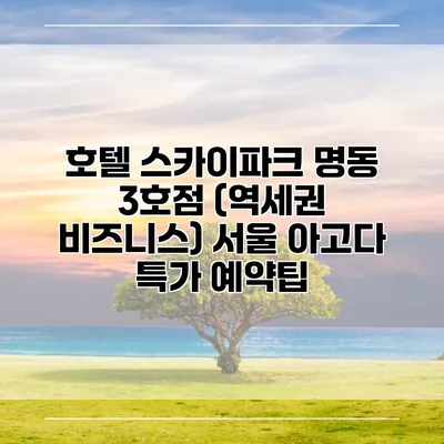 호텔 스카이파크 명동 3호점 (역세권 비즈니스) 서울 아고다 특가 예약팁